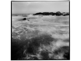 Leben an der Küste01