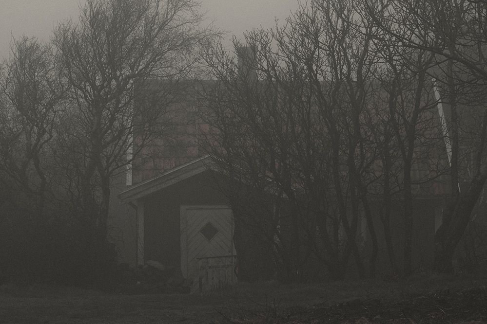 Encased in Fog_05