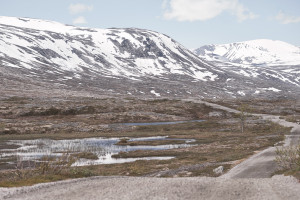 Norwegen2015_04