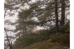 Elbsandsteinwandern_Winter2016_web_44