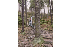 Elbsandsteinwandern_Winter2016_web_87